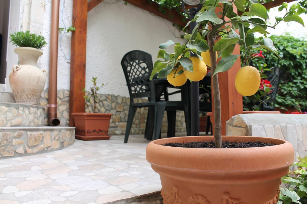 Bed And Breakfast Alberini 노토 외부 사진